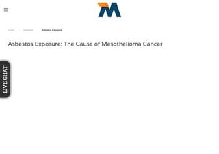 Home / Asbestos / Asbestos Exposure
Asbestos Exposure: The Cause of Mesothelioma Cancer
LIVECHAT
 