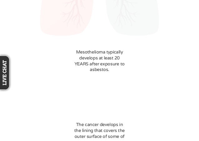 number of mesothelioma cases per year