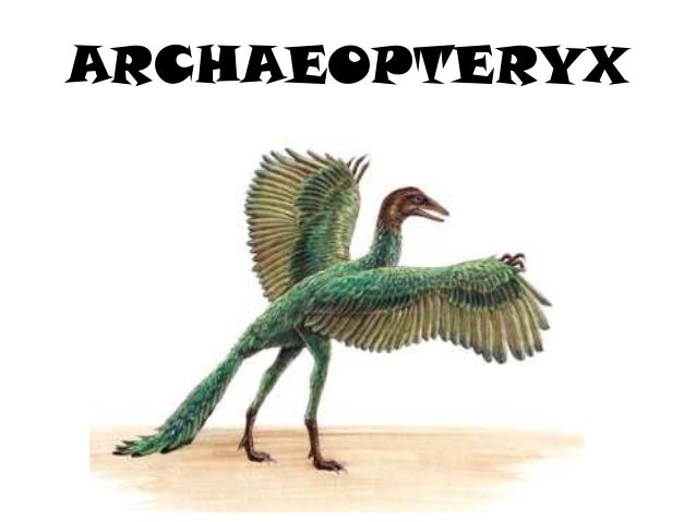 mesozoic era mesozoic era earth science mesozoic era mesozoic era earth science