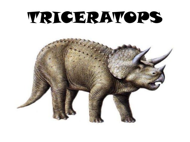 mesozoic era mesozoic era earth science mesozoic era mesozoic era earth science