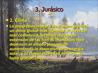 3. Jurásico 2. Clima La progresiva ruptura de Pangea provocó un clima global más húmedo. El nivel del mar comenzó a ascender. La mayor extensión de las tierras inundadas hizo disminuir el albedo planetario, aumentando la absorción de la energía solar, y la mayor humedad del aire. No hubo glaciaciones. 