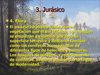 3. Jurásico 4. Flora El paisaje Jurásico es más rico en vegetación que el del triásico. Los bosques se empiezan a extender por toda la superficie terrestre y destacan familias como las coníferas acompañadas de diferentes tipos de helechos y palmeras.   Los bosques de ginkgos, y especialmente de coníferas, daban al paisaje cierto toque de modernidad. 