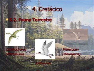 4. Cretácico 5.2. Fauna Terrestre Ornithocheirus  Ptenarodon (Pterosauria)  (Pterosauria) Ichthyornis  (Aves) 