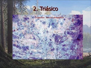 2. Triásico 