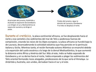 Al principio del jurasico, Antártida y             Finales del jurasico, sigue la
  Australia se separaron de Gondwana                 división de Laurasia y Gondwana
  y se dirigen al sur y Norteamérica se              Y la india se desplaza al norte.
  separa de Laurasia y se dirige al
  oeste.


Durante el cretácico, la placa continental africana, se fue desplazando hacia el
norte y eso sometió a los sedimentos del mar de Tetis a poderosas fuerzas de
compresión, creando las raíces de los Alpes europeos. La placa africana se hundió bajo la
de Laurasia, desencadenando la actividad volcánica que hoy persiste en la península
italiana y Sicilia. Mientras tanto, el recién formado océano Atlántico se ensanchó debido
a la expansión del suelo oceánico a lo largo de la dorsal Medioatlántica, lo que aumentó
la distancia entre África y América del Sur. Más al este, India se había separado de
Gondwana y, en su deriva hacia el norte, había empezado a plegar los sedimentos del
Tetis oriental formando riscos alargados, predecesores de lo que sería el Himalaya. La
Antártida y Australia, aún unidas, derivaban hacia el sur y el este.
 