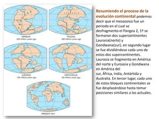 Resumiendo el proceso de la
evolución continental podemos
decir que el mesozoico fue un
periodo en el cual se
desfragmento el Pangea 2, 1º se
formaron dos supercontinentes
Laurasia(norte) y
Gondwana(sur), en segundo lugar
se fue dividiéndose cada uno de
estos dos supercontinentes.
Laurasia se fragmento en América
del norte y Euroasia y Gondwana
en América del
sur, África, india, Antártida y
Australia. En tercer lugar, cada uno
de estos bloques continentales se
fue desplazándose hasta tomar
posiciones similares a los actuales.
 