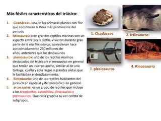 Más fósiles característicos del triásico:
1.    Cicadáceas, una de las primaras plantas con flor
     que constituían la flora más prominente del
     periodo
                                                          1. Cicadáceas     2. Ictiosauros:
2.   Ictiosauros: eran grandes reptiles marinos con un
     aspecto entre pez y delfín. Vivieron durante gran
     parte de la era Mesozoica; aparecieron hace
     aproximadamente 250 millones de
     años, anteriores que los dinosaurios
3.    plesiosauros: uno de los reptiles marinos
     destacados del triásico y el mesozoico en general
     que tenían un cuerpo ancho, similar al de una                             4. Rincosaurio
     tortuga, cuello y cola largos y grandes aletas que   3. plesiosauros
     le facilitaban el desplazamiento.
4.    Rincosaurio: uno de los reptiles habitantes del
     jurasico en especial y del mesozoico en general.
5.    arcosaurios: es un grupo de reptiles que incluye
     a los tecodontos, cocodrilos, dinosaurios y
     pterosaurios. Que cada grupo a su vez consta de
     subgrupos.
 