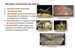 Más fósiles característicos del cretácico:

1. Ornitomímidos avanzados
2. Dromeosáuridos,
3. Saurópodo: grupo de los dinosaurio
    más grandes del mesozoico y su época
                                        1. Ornitomímidos avanzados
    de apogeo fue el Cretácico.                                              2.Dromeosáuridos,
4. Titanoceratops: es un género extinto
   de dinosaurio herbívoro ceratopsio.
5. Pachyrhachis: nueva especie que
 aparece en el cretácico con forma de
 serpiente y aspecto primitivo.
                                             3. Diplodócidos           4. Titanoceratops




                                                           5. Pachyrhachis
 
