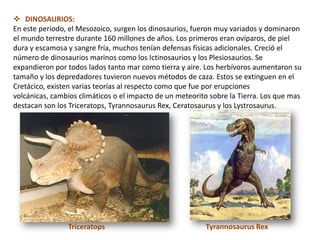  DINOSAURIOS:
En este periodo, el Mesozoico, surgen los dinosaurios, fueron muy variados y dominaron
el mundo terrestre durante 160 millones de años. Los primeros eran ovíparos, de piel
dura y escamosa y sangre fría, muchos tenían defensas físicas adicionales. Creció el
número de dinosaurios marinos como los Ictinosaurios y los Plesiosaurios. Se
expandieron por todos lados tanto mar como tierra y aire. Los herbívoros aumentaron su
tamaño y los depredadores tuvieron nuevos métodos de caza. Estos se extinguen en el
Cretácico, existen varias teorías al respecto como que fue por erupciones
volcánicas, cambios climáticos o el impacto de un meteorito sobre la Tierra. Los que mas
destacan son los Triceratops, Tyrannosaurus Rex, Ceratosaurus y los Lystrosaurus.




                Triceratops                               Tyrannosaurus Rex
 
