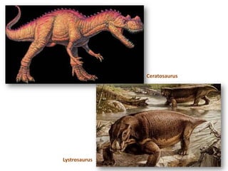 Ceratosaurus




Lystrosaurus
 