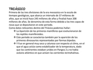 TRIÁSICO
Primera de las tres divisiones de la era mesozoica en la escala de
tiempos geológicos, que abarca un intervalo de 37 millones de
años, que se inició hace 245 millones de años y finalizó hace 208
millones de años. Se denomina de esta forma debido a las tres capas de
rocas que se depositaron en este periodo.
Como datos relevantes dentro del Triásico podemos hallar:
      La Aparición de los primeros mamíferos que evolucionaron de
       los reptiles mamiferoides.
      Este período se caracteriza también por la aparición de los
       primeros dinosaurios representados por formas bípedas.
      Y Fue en general muy seco y caluroso con respecto al clima, en el
       que el agua actúo como estabilizador de la temperatura, dado
       que los continentes estaban unidos en Pangea 2 y no había
       océano atlántico en que actúen las corrientes termohalinas.
 