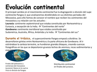 Evolución continental
El principal cambio en el movimiento continental fue la disgregación o división del supe
continente Pangea 2; que analizaremos dividiéndolo en sus distintos periodos del
Mesozoico, para ello hemos de conocer el nombre que reciben los continentes del
mesozoico y su relación con los actuales :
Laurasia: continente septentrional que estaba constituido por Norteamérica y
Euroasia, a excepción de la India.  “Continentes del norte”
Gondwana: continente meridional que estaba constituido por
Sudamérica, Australia, África, Antártida y la India.  “Continentes del sur.”

Durante el triásico, el supercontinente Pangea empezó a dividirse. Se
desarrollaron grietas entre Norteamérica y la parte africana de Gondwana. Al ir
estirándose la corteza terrestre, se hundieron grandes bloques, creando cuencas
fisiográficas en las que se depositaron gruesos lechos de arenisca, rocas sedimentarias y
esquistos.




Finales del paleozoico y                         Distribución continental
comienzos del mesozoico                          en finales del jurasico.
(jurasico). Época en la cual se
inicia la división de Pangea
 