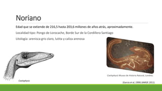 Noriano 
Edad que se extiende de 216,5 hasta 203,6 millones de años atrás, aproximadamente. 
Localidad tipo: Pongo de Lorocache, Borde Sur de la Cordillera Santiago 
Litología: arenisca gris claro, lutita y caliza arenosa 
Coelophysis Museo de Historia Natural, Londres. 
Coelophysis 
(García et al, 1999) (AMGP, 2011) 
 