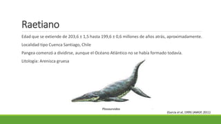 Raetiano 
Edad que se extiende de 203,6 ± 1,5 hasta 199,6 ± 0,6 millones de años atrás, aproximadamente. 
Localidad tipo Cuenca Santiago, Chile 
Pangea comenzó a dividirse, aunque el Océano Atlántico no se había formado todavía. 
Litología: Arenisca gruesa 
Pliosauroidea 
(García et al, 1999) (AMGP, 2011) 
 