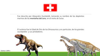 Fue descrito por Alexandre Humboldt, tomando su nombre de los depósitos 
marinos de las montañas del Jura, en el norte de Suiza. 
El Jurásico fue la Edad de Oro de los Dinosaurios y en particular, de los grandes 
saurópodos y sus predadores. 
(Sadava I.2009.) 
 