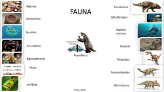 Bivalvos 
Ammonites 
Nautilos 
Crustáceos 
Equinodermos 
Peces 
Anfibios 
Cinodontes 
Ictiopterigios 
Reptiles 
marinos 
Tautaras 
Terópodos 
Prosaurópodos 
Ornistiquios 
FAUNA 
Mamíferos 
(Felix, 2005) 
 