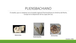 PLIENSBACHIANO 
El estadio, que es coetáneo con el estadio regional Charmouthiano en América del Norte, 
Europa vio la deposición de las capas del Lias. 
Belemnites 
Gasterópodos 
Ammonites 
(Gradstein, 2004) 
 