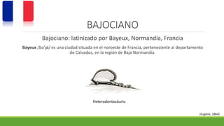 BAJOCIANO 
Bajociano: latinizado por Bayeux, Normandía, Francia 
Bayeux /ba'jø/ es una ciudad situada en el noroeste de Francia, perteneciente al departamento 
de Calvados, en la región de Baja Normandía. 
Heterodontosáurio 
(Eugéne, 1864) 
 
