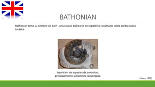BATHONIAN 
Bathonian toma su nombre de Bath , una ciudad balneario en Inglaterra construido sobre piedra caliza 
Jurásica. 
(López, 1979) 
Aparición de especies de amonitas, 
principalmente Gonolkites convergens. 
 