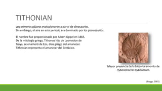 TITHONIAN 
Los primeros pájaros evolucionaron a partir de dinosaurios. 
Sin embargo, el aire en este periodo era dominado por los pterosaurios. 
El nombre fue proporcionado por Albert Oppel en 1865. 
De la mitología griega, Tithonus hijo de Laomedon de 
Troya, se enamoró de Eos, dios griego del amanecer. 
Tithonian representa el amanecer del Cretácico. 
Mayor presencia de la biozona amonita de 
Hybonoticeras hybonotum. 
(Boggs, 2001) 
 