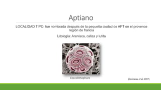 Aptiano 
LOCALIDAD TIPO: fue nombrada después de la pequeña ciudad de APT en el provence 
región de francia 
Litología: Arenisca, caliza y lutita 
Coccolithophore (Contreras et al, 1997) 
 