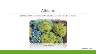 Albiano 
LOCALIDAD TIPO: el albiense en francés albien, de alba= rio aube en francia. 
Litología: arenisca, caliza y lutita 
Coccolithophore 
(Waggoner, 1995) 
 
