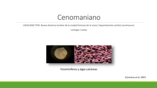 Cenomaniano 
LOCALIDAD TIPO: Nueva América nombre de la ciudad francesa de le mans ( departamento sarthe) cenomanum. 
Litología: Lutitas 
(Contreras et al, 1997) 
Foraminíferos y algas calcáreas 
 