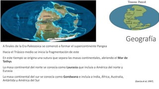 Geografía 
A finales de la Era Paleozoica se comenzó a formar el supercontinente Pangea 
Hacia el Triásico medio se inicia la fragmentación de este 
En este tiempo se origina una sutura que separa las masas continentales, abriendo el Mar de 
Tethys 
La masa continental del norte se conocía como Laurasia que incluía a América del norte y 
Eurasia 
La masa continental del sur se conocía como Gondwana e incluía a India, África, Australia, 
Antártida y América del Sur (García et al, 1997) 
 