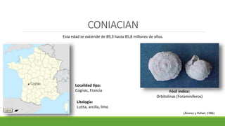 CONIACIAN 
Esta edad se extiende de 89,3 hasta 85,8 millones de años. 
Localidad tipo: 
Cognac, Francia Fósil índice: 
Orbitolinas (Foraminíferos) 
(Álvarez y Rafael, 1986) 
Litología: 
Lutita, arcilla, limo 
 