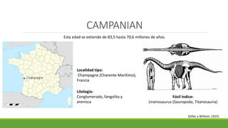 CAMPANIAN 
Esta edad se extiende de 83,5 hasta 70,6 millones de años. 
Localidad tipo: 
Champagne (Charente Marítimo), 
Francia 
Fósil índice: 
Lirainosaurus (Sauropoda, Titanosauria) 
(Diller y William, 1915) 
Litología: 
Conglomerado, fangolita y 
arenisca 
 