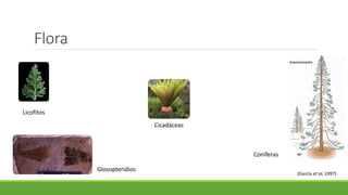 Flora 
Licofitos 
Cicadáceas 
Glosopteridios 
Coníferas 
(García et al, 1997) 
 