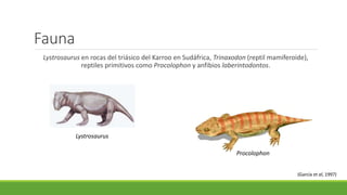 Fauna 
Lystrosaurus en rocas del triásico del Karroo en Sudáfrica, Trinaxodon (reptil mamiferoide), 
reptiles primitivos como Procolophon y anfibios laberintodontos. 
Lystrosaurus 
Procolophon 
(García et al, 1997) 
 