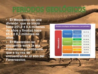 • El Mesozoico es una
división que se inició
hace 251,0 ± 0,4 millones
de años y finalizó hace
65,5 ± 0,3 millones de
años.
• El Mesozoico se
encuentra entre la era
Paleozoica y Cenozoica,
que a su vez se
encuentran en el eón del
Fanerozoico.
 
