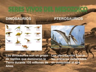 DINOSAURIOS PTEROSAURIOS
Los dinosaurios son un
Los dinosaurios son un grupo Los pterosaurios fueron
de reptiles que dominaron la los primeros vertebrados
Tierra durante 135 millones de en conquistar el aire.
Años.
 
