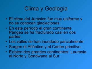 Clima y Geología El clima del Jurásico fue muy uniforme y no se conocen glaciaciones. En este período el gran continente Pangea se ha fracturado casi en dos partes. Los valles se han inundado parcialmente Surgen el Atlántico y el Caribe primitivo.  Existen dos grandes continentes: Laurasia al Norte y Gondwana al Sur.  