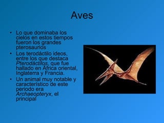 Aves Lo que dominaba los cielos en estos tiempos fueron los grandes pterosaurios Los terodáctilo ideos, entre los que destaca  Pterodáctilos , que fue hallado en África oriental, Inglaterra y Francia. Un animal muy notable y característico de este periodo era  Archaeopteryx , el principal 