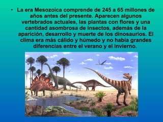 La era Mesozoica comprende de 245 a 65 millones de años antes del presente. Aparecen algunos vertebrados actuales, las plantas con flores y una cantidad asombrosa de insectos, además de la aparición, desarrollo y muerte de los dinosaurios. El clima era más cálido y húmedo y no había grandes diferencias entre el verano y el invierno.  