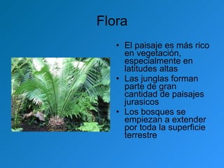 Flora El paisaje es más rico en vegetación, especialmente en latitudes altas Las junglas forman parte de gran cantidad de paisajes jurasicos Los bosques se empiezan a extender por toda la superficie terrestre 