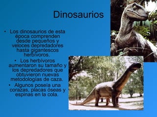 Dinosaurios Los dinosaurios de esta época comprenden desde pequeños y veloces depredadores hasta gigantescos herbívoros.  Los herbívoros aumentaron su tamaño y los depredadores que obtuvieron nuevas metodologías de caza.  Algunos poseía una corazas, placas óseas y espinas en la cola.  