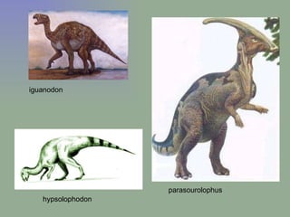 iguanodon parasourolophus hypsolophodon 
