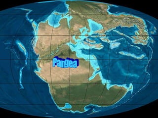 Pangea 