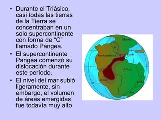 Durante el Triásico, casi todas las tierras de la Tierra se concentraban en un solo supercontinente con forma de “C” llamado Pangea.  El supercontinente Pangea comenzó su dislocación durante este período. El nivel del mar subió ligeramente, sin embargo, el volumen de áreas emergidas fue todavía muy alto 