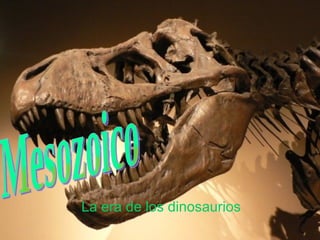 Mesozoico La era de los dinosaurios 