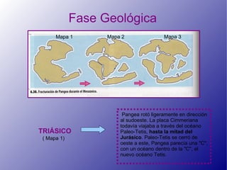 Fase Geológica
     Mapa 1       Mapa 2                Mapa 3




                       Pangea rotó ligeramente en dirección
                      al sudoeste. La placa Cimmeriana
                      todavía viajaba a través del océano
TRIÁSICO              Paleo-Tetis, hasta la mitad del
( Mapa 1)             Jurásico. Paleo-Tetis se cerró de
                      oeste a este, Pangea parecía una "C",
                      con un océano dentro de la "C", el
                      nuevo océano Tetis.
 