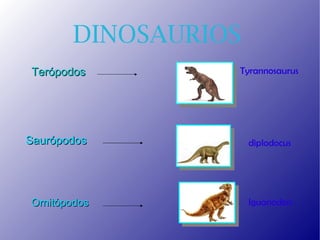 DINOSAURIOS
Terópodos        Tyrannosaurus




Saurópodos           diplodocus




Ornitópodos          Iguanodon
 