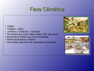 Fase Climática


   Cálido

   Triásico – árido

   Jurásico y Cretácico – húmedo

   Se estima que pudo haber hasta 12ºC más de la

  temperatura media que en la actualidad.

   Mares templados o cálidos

   No existían glaciares de casquete en los polos
 