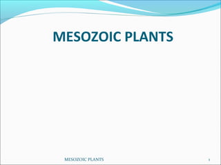 MESOZOIC PLANTS
1MESOZOIC PLANTS
 