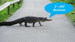 2 – AVI
Business
 