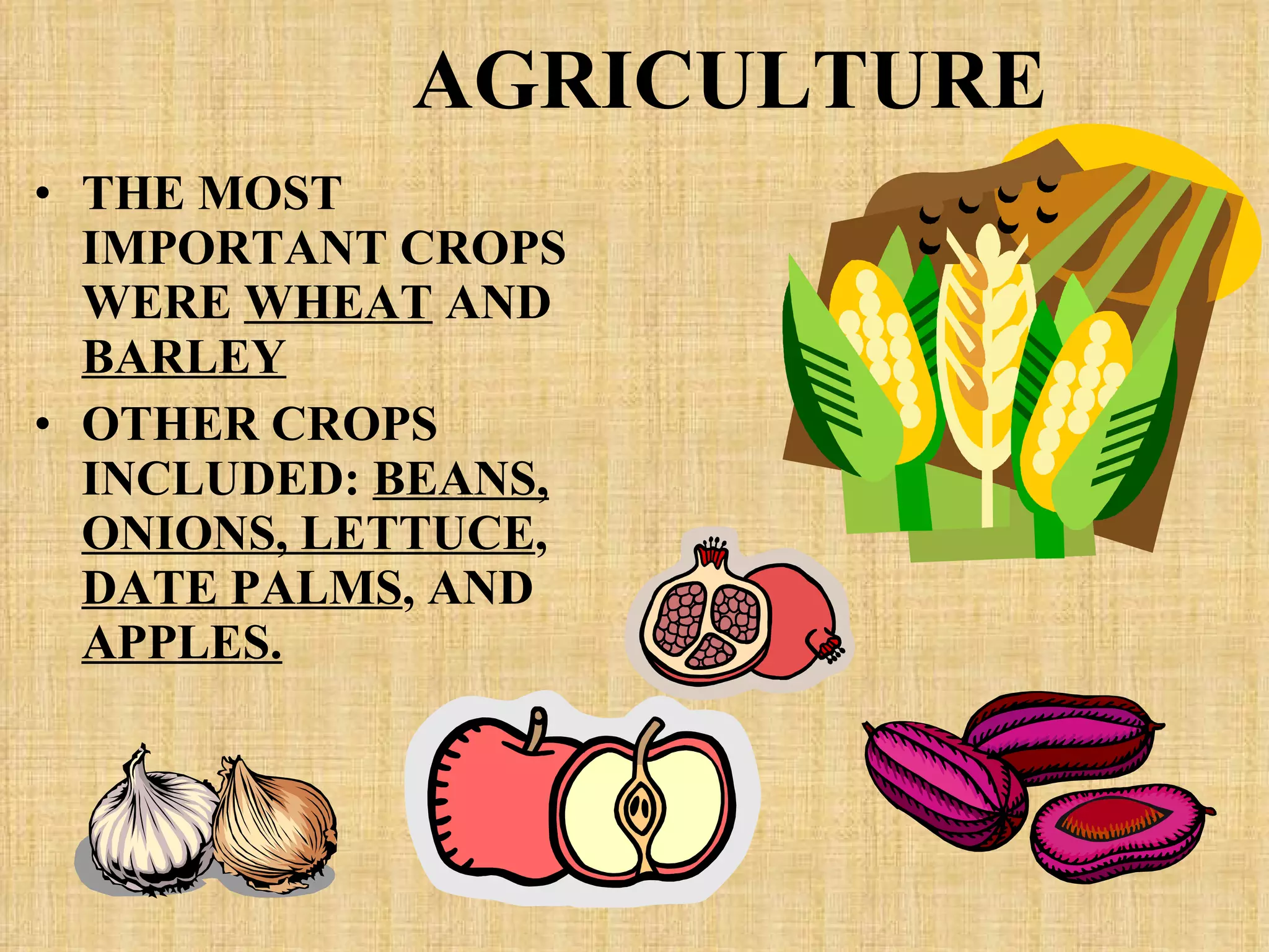 AGRICULTURE THE MOST IMPORTANT CROPS WERE  WHEAT  AND  BARLEY OTHER CROPS INCLUDED:  BEANS,   ONIONS, LETTUCE ,  DATE PALMS , AND  APPLES. 