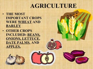 AGRICULTURE THE MOST IMPORTANT CROPS WERE  WHEAT  AND  BARLEY OTHER CROPS INCLUDED:  BEANS,   ONIONS, LETTUCE ,  DATE PALMS , AND  APPLES. 